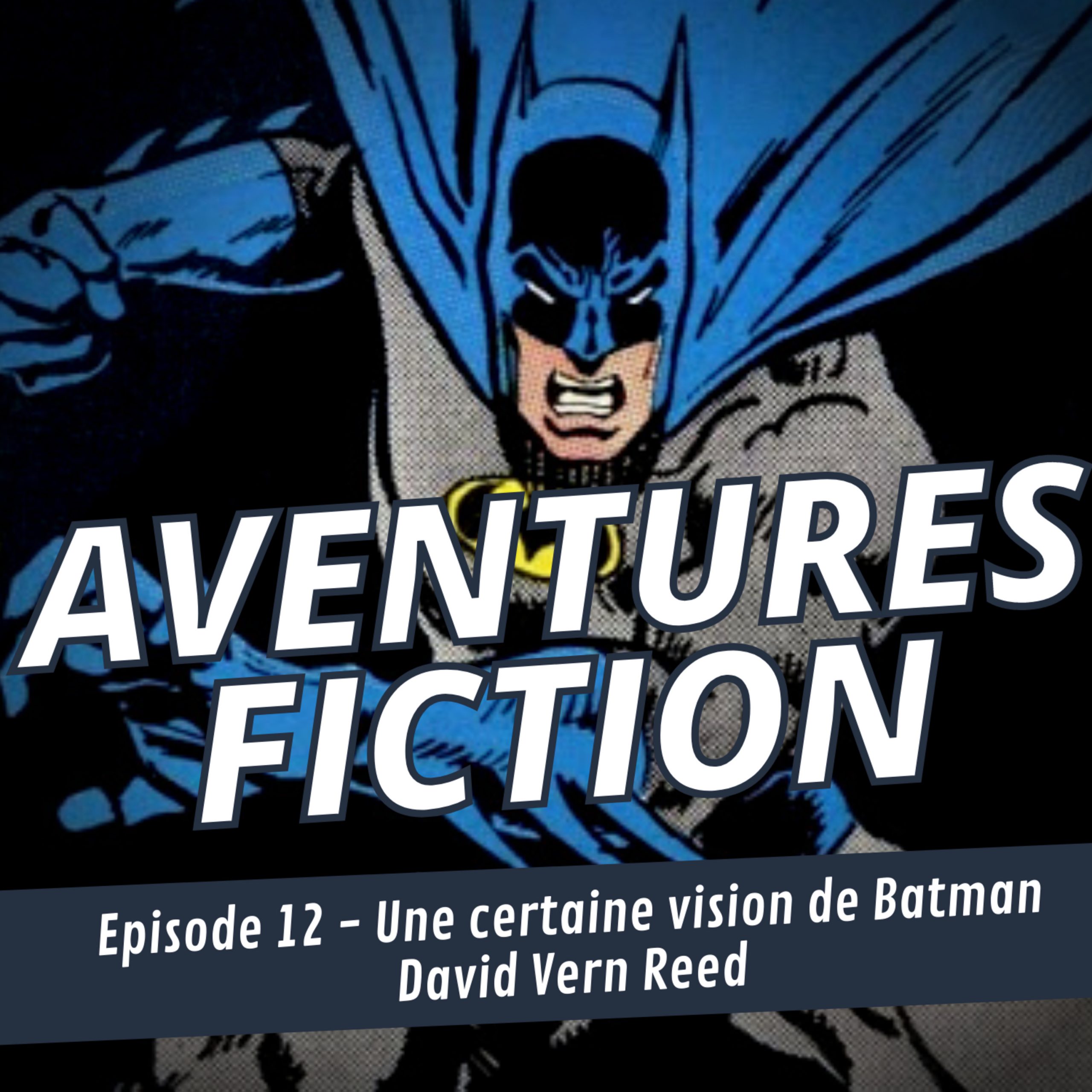 Aventures Fiction 12: Une certaine vision de Batman : David Vern Reed