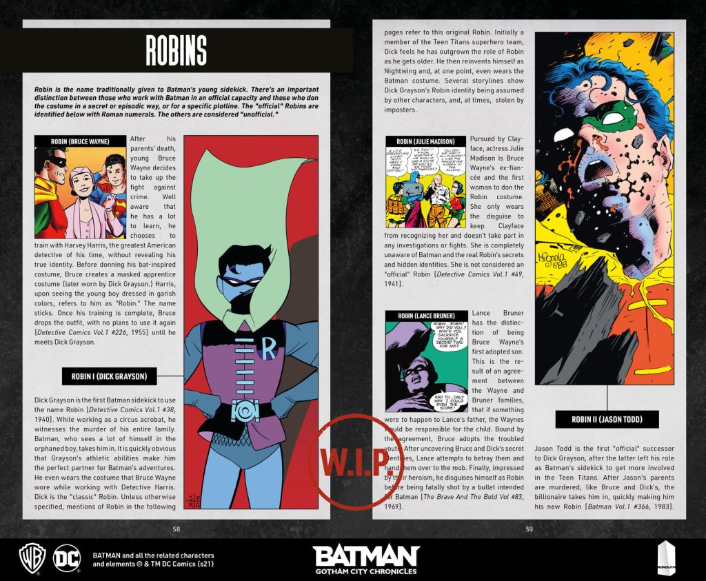 Batman: Gotham City Chronicles: Les Robins