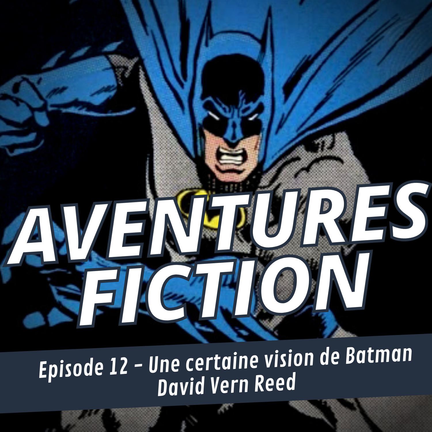 Aventures Fiction, Une certaine vision de Batman - David Vern Reed